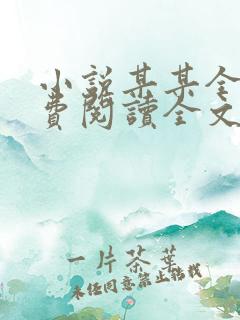 小说某某全文免费阅读全文