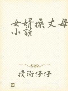 女婿操丈母娘的小说