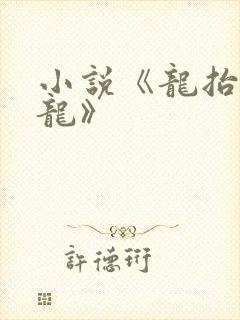 小说《龙抬头张龙》
