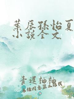 叶辰孙怡夏若雪小说全文