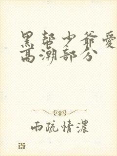 黑帮少爷爱上我高潮部分