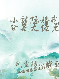 小说隐婚我的老公是大佬免费阅读