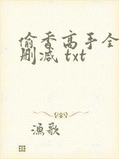 偷香高手全文无删减 txt