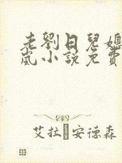 老刘日儿媳妇张岚小说免费阅读乡村小说