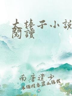 大棒子小说免费阅读