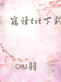 窃情txt下载