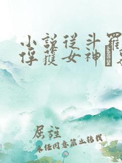 小说从斗罗开始俘获女神鞪慕最新章节