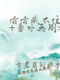偷偷藏不住全文+番外无删减
