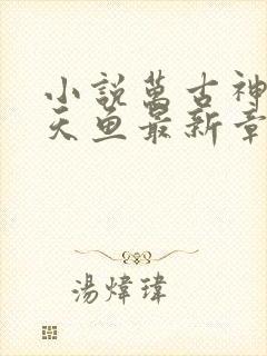 小说万古神帝飞天鱼最新章节目录