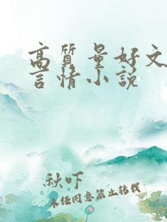 高质量好文笔的言情小说