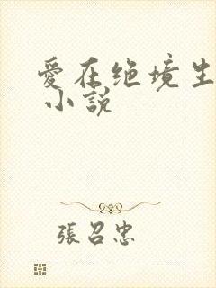 爱在绝境生出花 小说