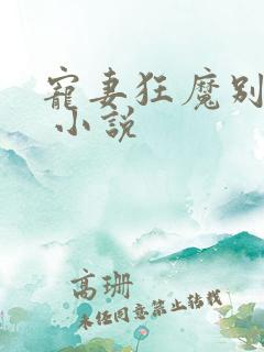 宠妻狂魔别太坏 小说