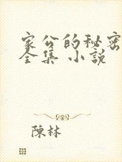 家公的秘密小说全集 小说
