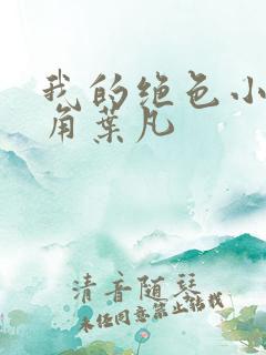 我的绝色小姨主角叶凡