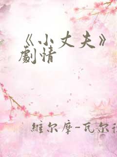 《小丈夫》分集剧情