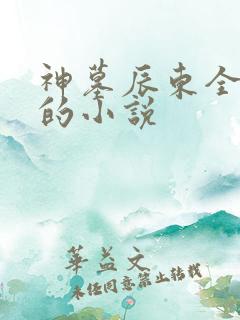神墓辰东全免费的小说