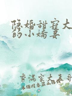 隐婚甜宠大财阀的小娇妻