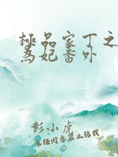 极品家丁之册母为妃番外