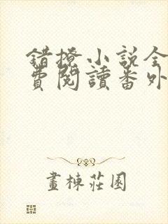 错撩小说全文免费阅读番外