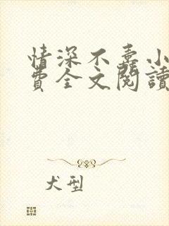情深不寿小说免费全文阅读