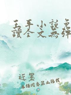 王平小说免费阅读全文无弹窗
