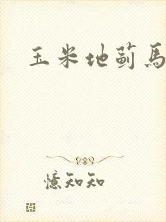 玉米地蓟马图片