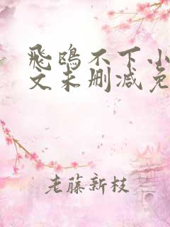 飞鸥不下小说全文未删减免费阅读