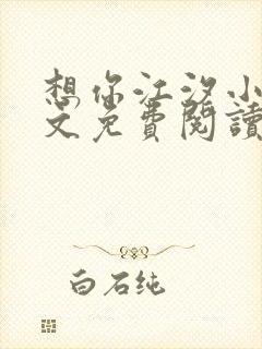 想你江汐小说全文免费阅读