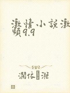 激情小说激情视频9.9