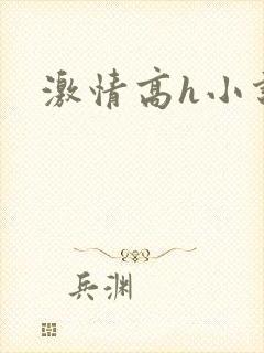激情高h小说文
