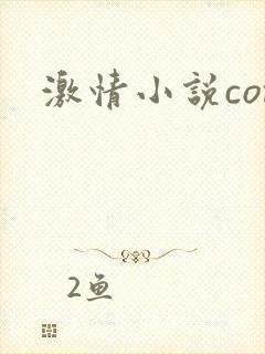激情小说com