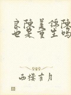 良陈美锦陈三爷也是重生吗