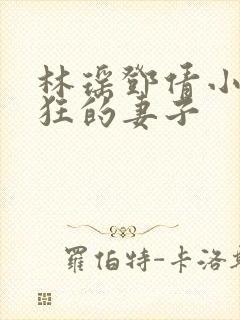 林瑶邓倩小说疯狂的妻子