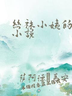 丝袜小姨的诱惑小说