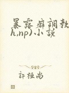 暴露癖调教(高h,np)小说