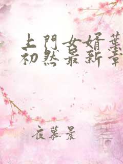 上门女婿叶辰萧初然最新章节