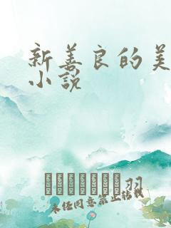 新善良的美人思小说