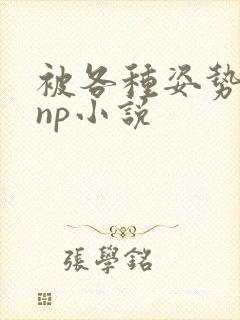被各种姿势玩弄np小说