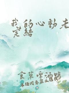 我的心动老板娘完结