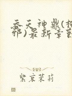 吞天神鼎(柳无邪)最新章节