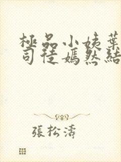 极品小姨叶凡和司徒嫣然结局