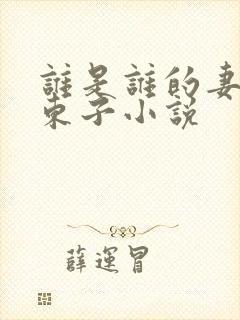 谁是谁的妻陈三东子小说