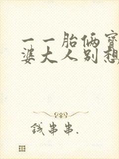 一一胎俩宝,老婆大人别想逃