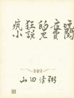 疯狂的夜晚孙曼小说免费阅读