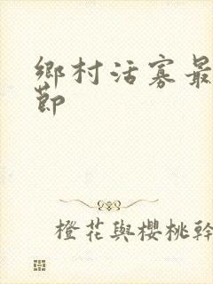 乡村活寡最新章节