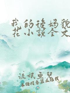 我的后妈貌美如花小说全文阅读
