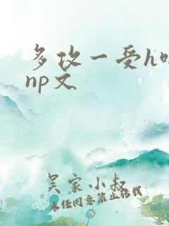 多攻一受h啪肉np文
