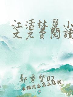 江涛林丽小说全文免费阅读最新章节