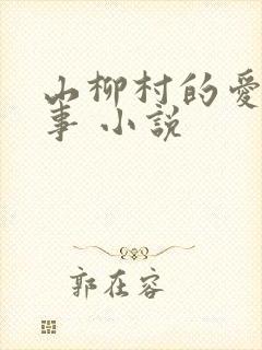 山柳村的爱情故事 小说