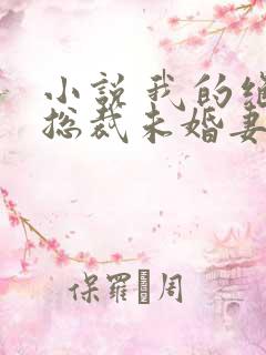 小说 我的绝色总裁未婚妻